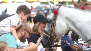 Virginia Derby, Colonial Downs, Kentucky Derby, Triple Crown, America's Best Racing, horse racing, ABR